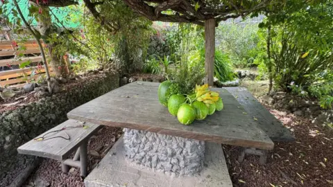 Chalet en Carretera de la Vega a la Montañeta