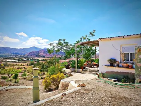 Finca rústica en El Rincon