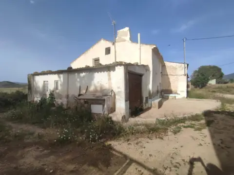 Pis – Jumilla