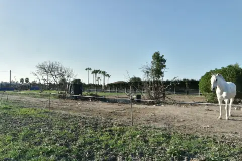 Finca rústica en La Jara