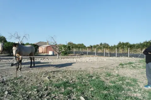 Finca rústica en La Jara
