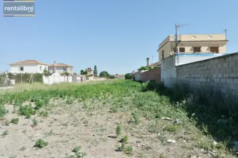 Finca rústica en Barrio Alto