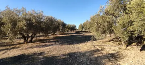 Terreno en Lomas de Vitar