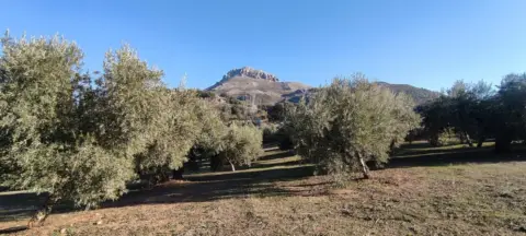 Terreno en Paraje La Presilla