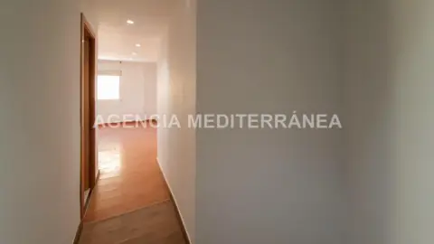 Piso en Avinguda del Doctor Gómez Ferrer