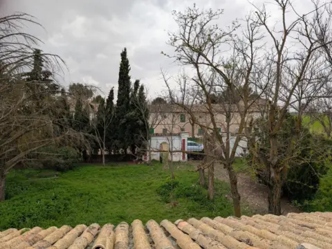 Finca rústica en calle Casa Sanchiz
