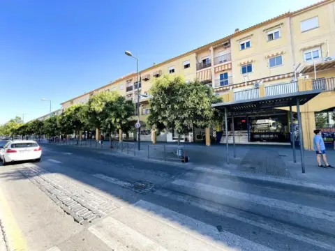 Piso en calle Arzobispo Pedro de Castro
