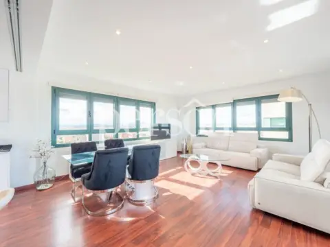 Ático en Avinguda del Professor López Piñero