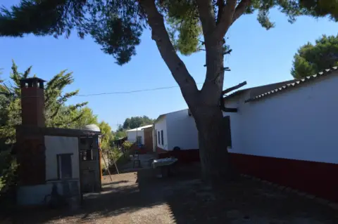 Finca rústica en calle Jón San Juan