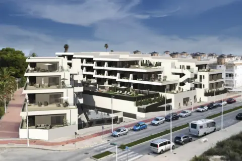 Pis – Elx - Elche