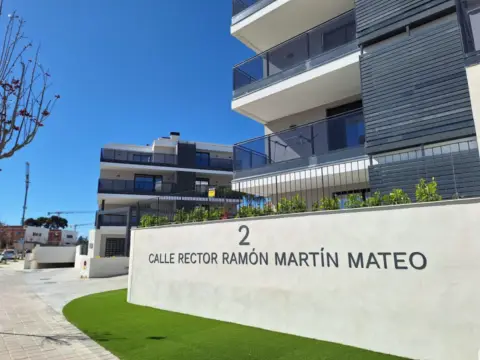 Apartamento en calle calle Rector Ramón Martín Mateo, nº 2