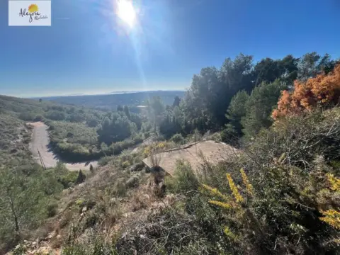 Terreno en Carrer de Félix Pizcueta, 67
