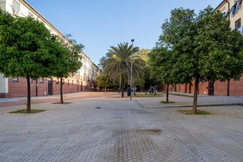 Piso en calle Petrarca