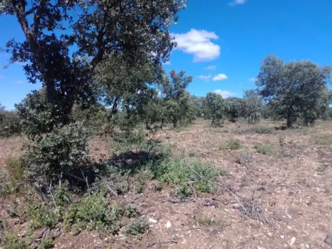 Terreno en Ledesma