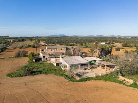 Finca rústica en calle Diseminados Var