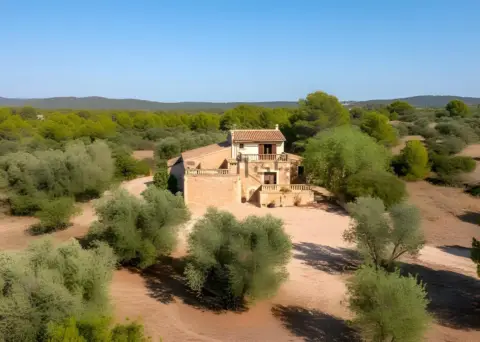 Finca rústica en calle Ds Son Xota 530 Polígono 16 Parcela 530 - Son Xot