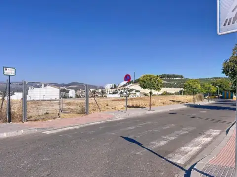Terreno en calle Coral Lucentina