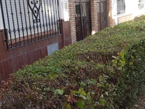 Chalet en Urbanización de Federico García Lorca