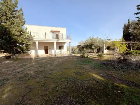 Finca rústica en El Palomar