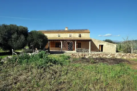 Finca rústica en calle Diseminado Son Tei