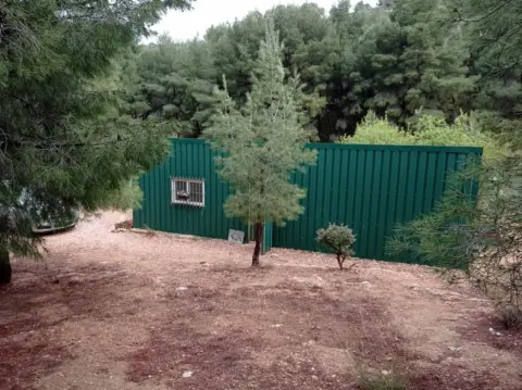 Terreno en La Romaneta