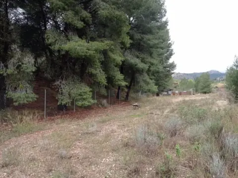 Terreno en La Romaneta