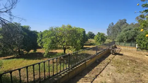 Finca rústica en Nueva Alcalá