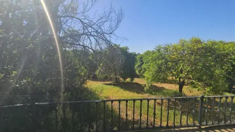 Finca rústica en Nueva Alcalá