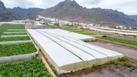 Terreno en Carretera General Punta del Hidalgo, 249