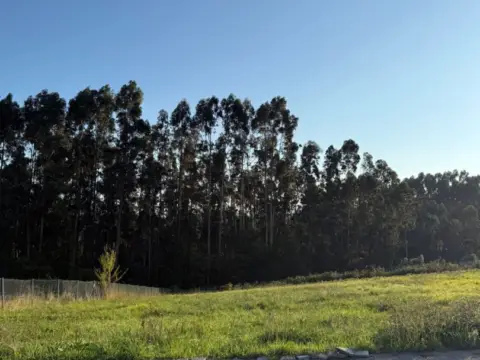 Terreno en calle Lugar Heros