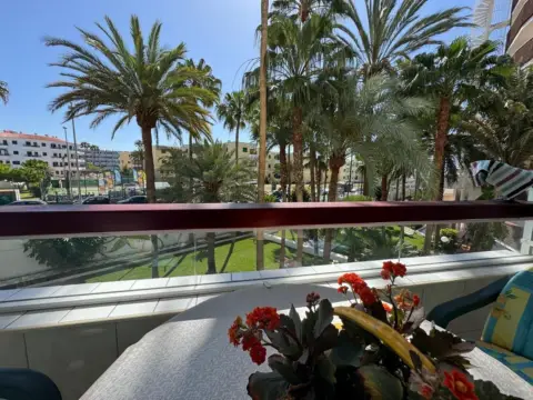 Piso en Avenida de Tenerife