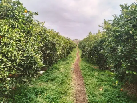 Chalet en Comunidad Valenciana