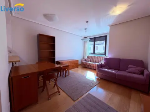 Apartment in Burgos Capital
