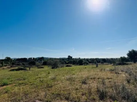 Terreno en Polígono 13