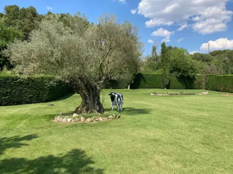 Chalet en Carretera de Asturias