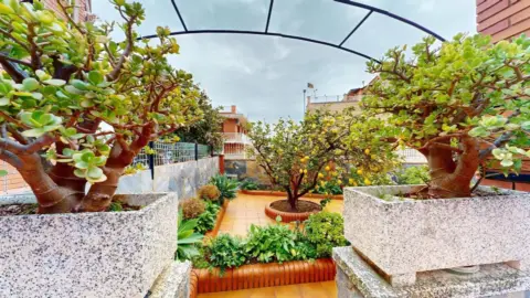 Casa en Carrer de l'Acàcia