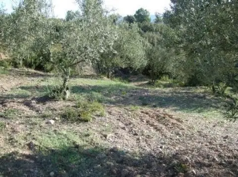 Terreno en calle Lugar Can Segarra