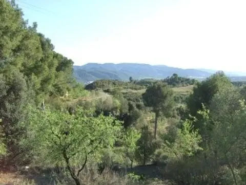 Terreno en calle Lugar Can Segarra