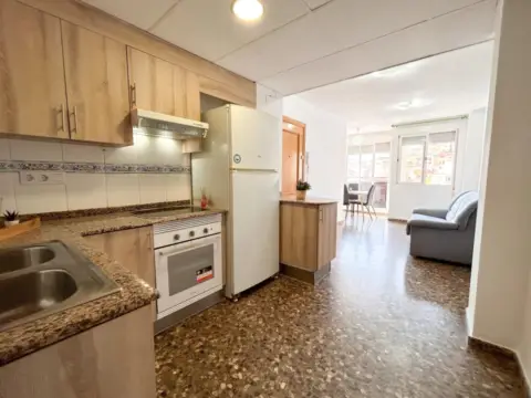 Apartamento en Avenida del País Valenciano, 20