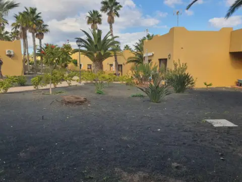 Piso en Avenida Pedro y Guy Vandaele