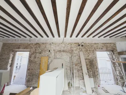 Estudio en Mentidero