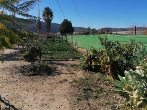 Finca rústica en Dalias