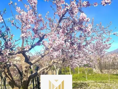 Finca rústica en Dalias