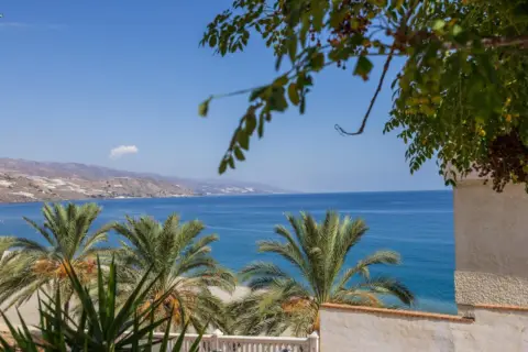 Terreno en Carretera de Almería