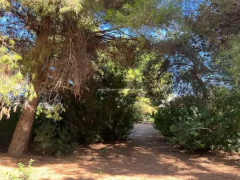 Terreno en Avinguda Cala Martina