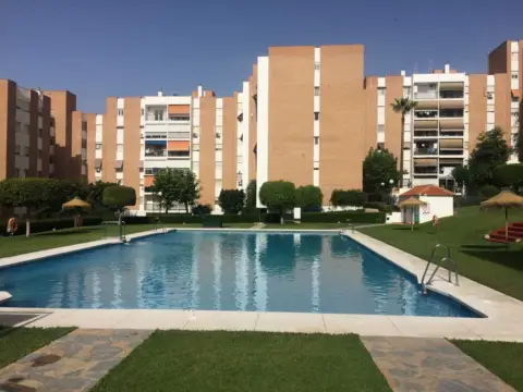 Piso en Avenida de las Palmeras