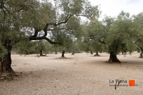 Finca rústica en Rústica