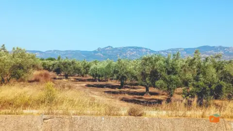 Terreno en Cataluña