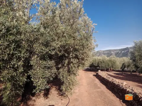 Finca rústica en Cataluña