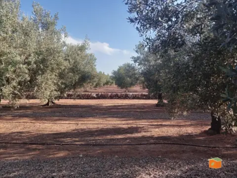 Finca rústica en Cataluña